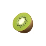 kiwi android application logo